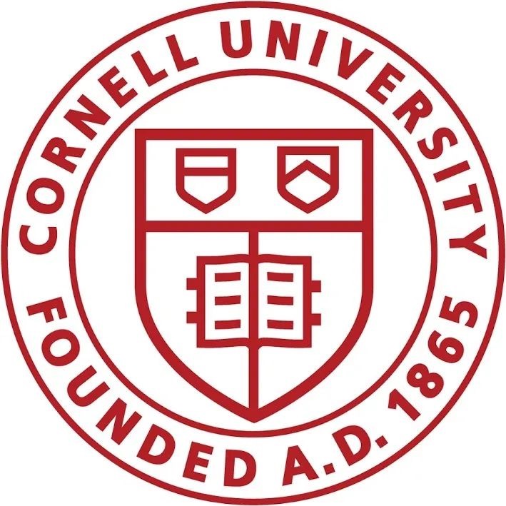 硕博申请案例｜优秀的Ta，如何收获Cornell MSCS的录取？(图4)