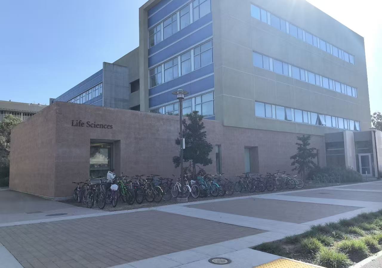 UC申请两大核心板块全拆解：20项活动怎么填？8道PIQ怎么选？一篇讲透底层逻辑(图1)